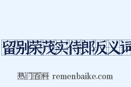 留别荣茂实侍郎反义词是什么意思的图片